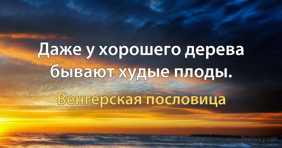 Даже у хорошего дерева бывают худые плоды. (Венгерская пословица)