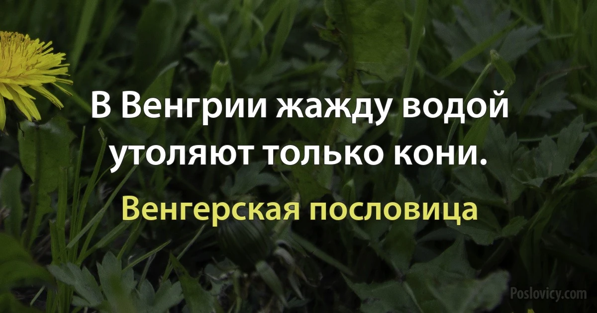 В Венгрии жажду водой утоляют только кони. (Венгерская пословица)