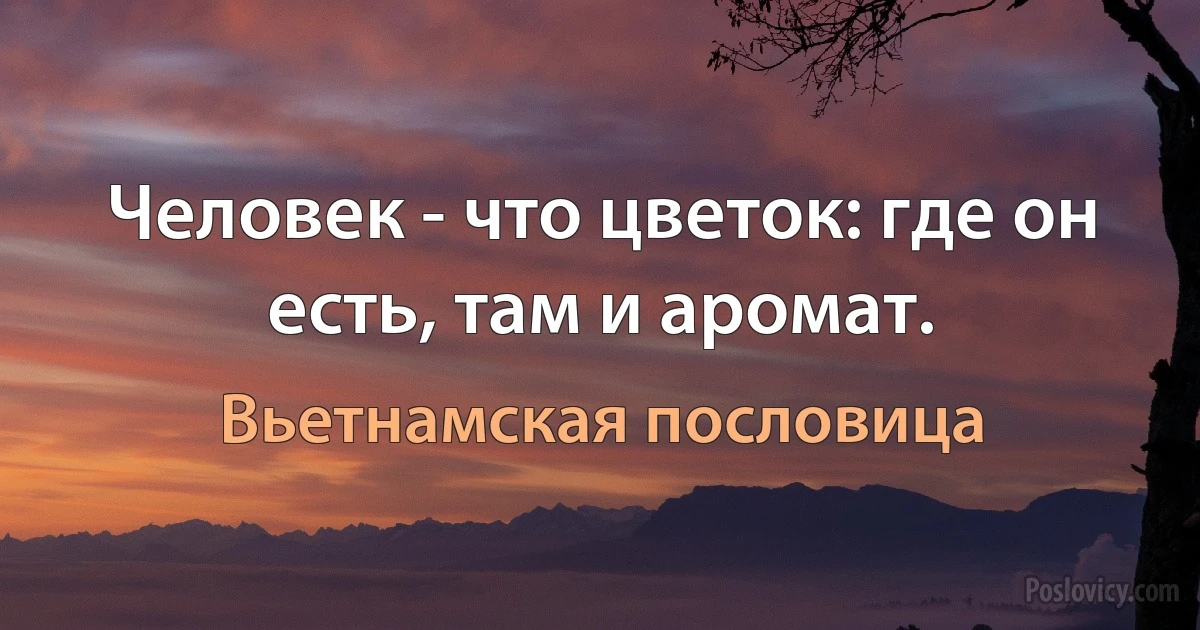 Человек - что цветок: где он есть, там и аромат. (Вьетнамская пословица)