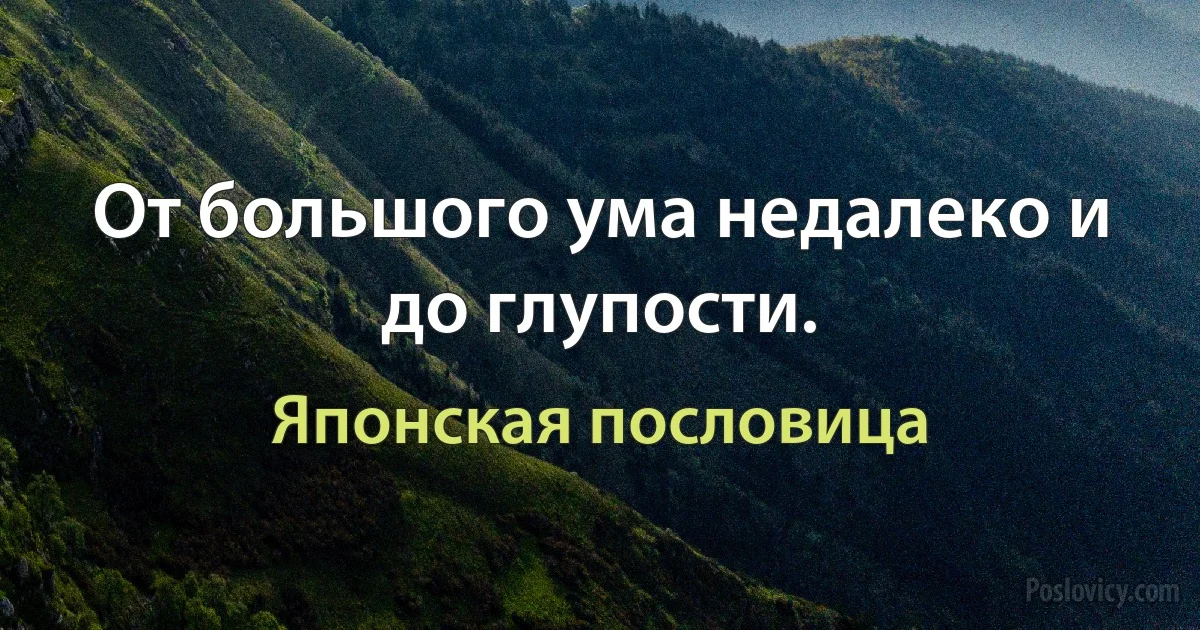 От большого ума недалеко и до глупости. (Японская пословица)