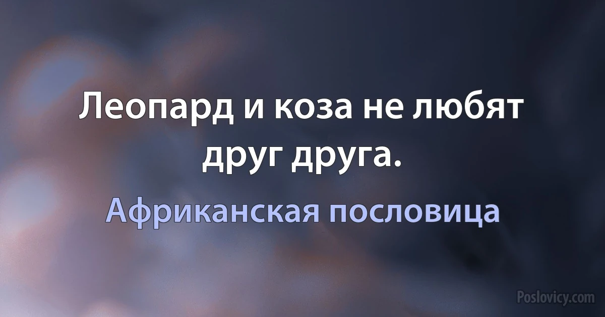 Леопард и коза не любят друг друга. (Африканская пословица)