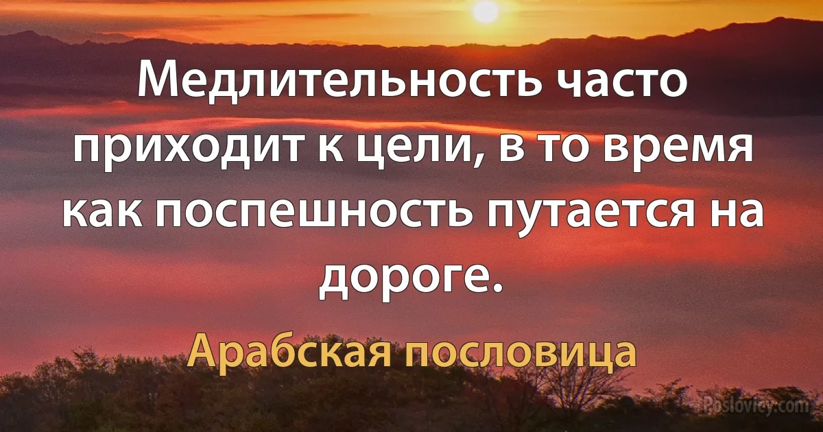 Медлительность часто приходит к цели, в то время как поспешность путается на дороге. (Арабская пословица)