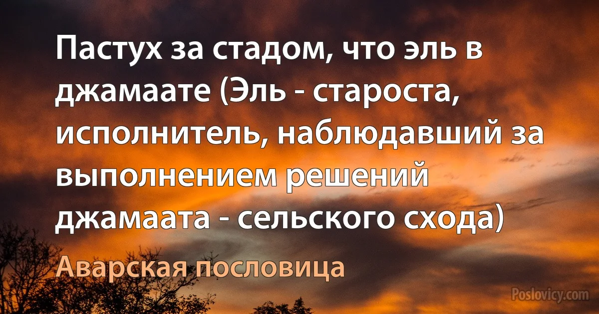 Пастух за стадом, что эль в джамаате (Эль - староста, исполнитель, наблюдавший за выполнением решений джамаата - сельского схода) (Аварская пословица)