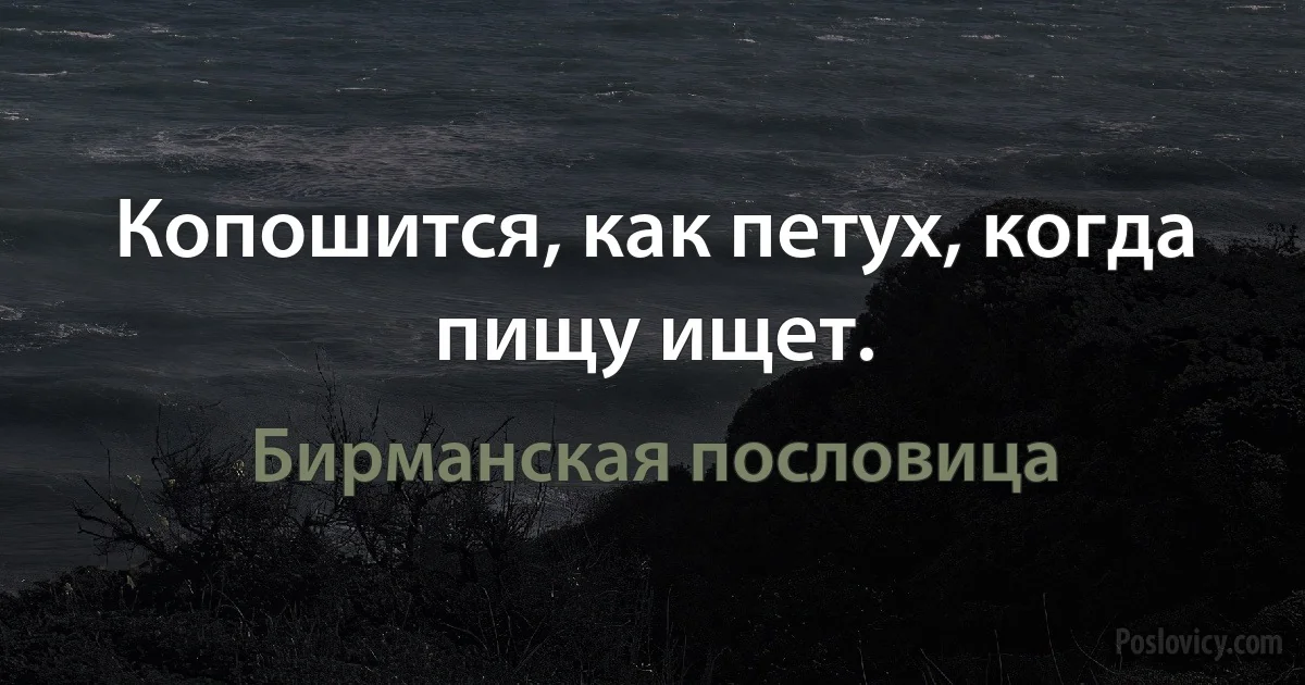 Копошится, как петух, когда пищу ищет. (Бирманская пословица)