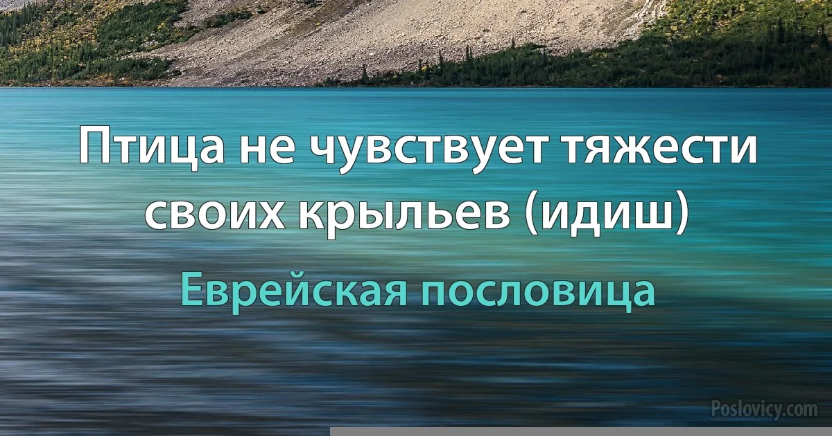 Птица не чувствует тяжести своих крыльев (идиш) (Еврейская пословица)