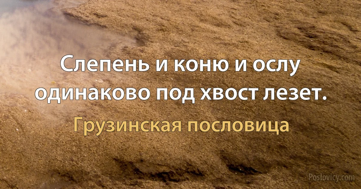 Слепень и коню и ослу одинаково под хвост лезет. (Грузинская пословица)