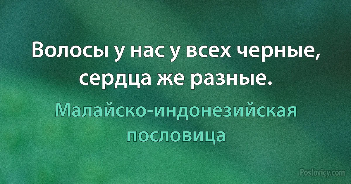 Волосы у нас у всех черные, сердца же разные. (Малайско-индонезийская пословица)