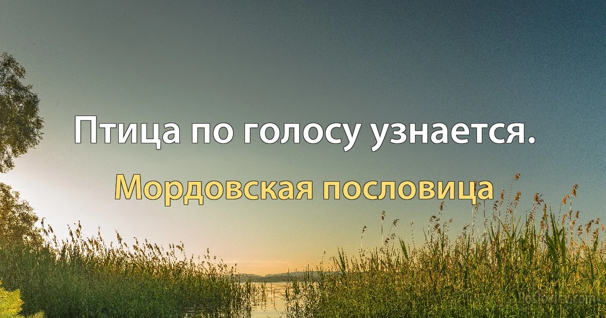 Птица по голосу узнается. (Мордовская пословица)