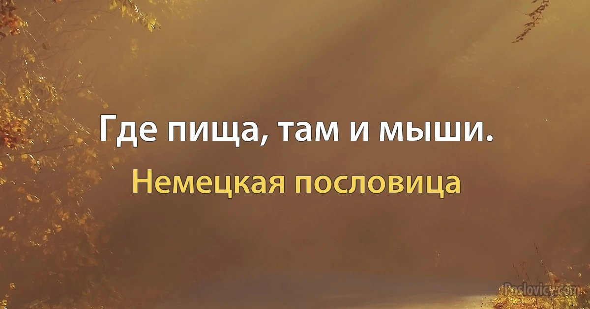 Где пища, там и мыши. (Немецкая пословица)