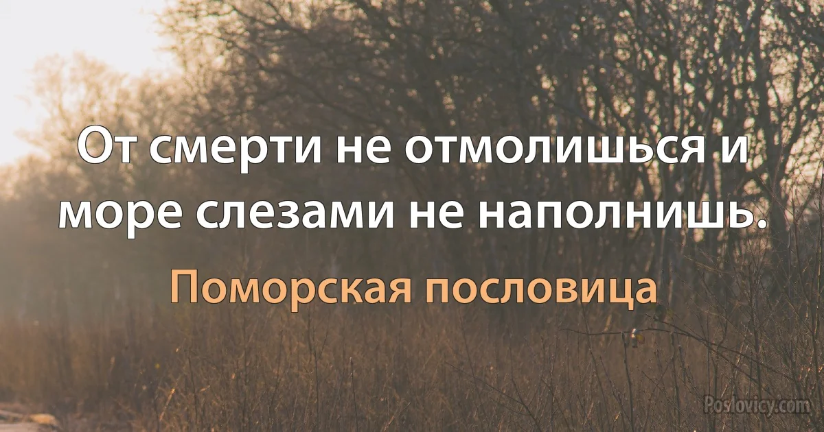 От смерти не отмолишься и море слезами не наполнишь. (Поморская пословица)