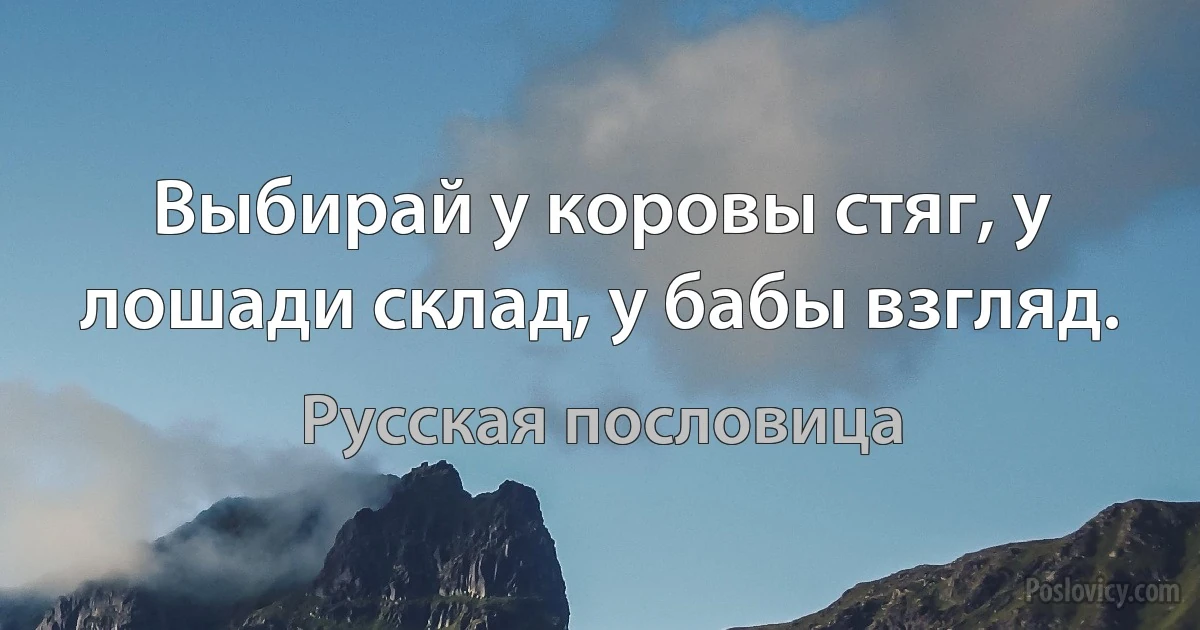 Выбирай у коровы стяг, у лошади склад, у бабы взгляд. (Русская пословица)