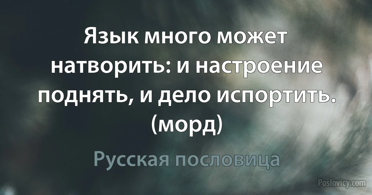 Язык много может натворить: и настроение поднять, и дело испортить. (морд) (Русская пословица)