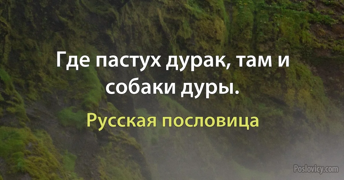 Где пастух дурак, там и собаки дуры. (Русская пословица)