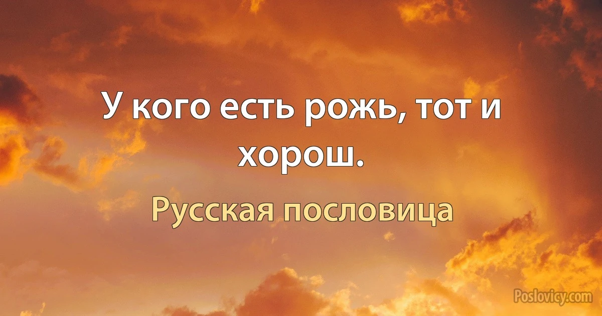 У кого есть рожь, тот и хорош. (Русская пословица)