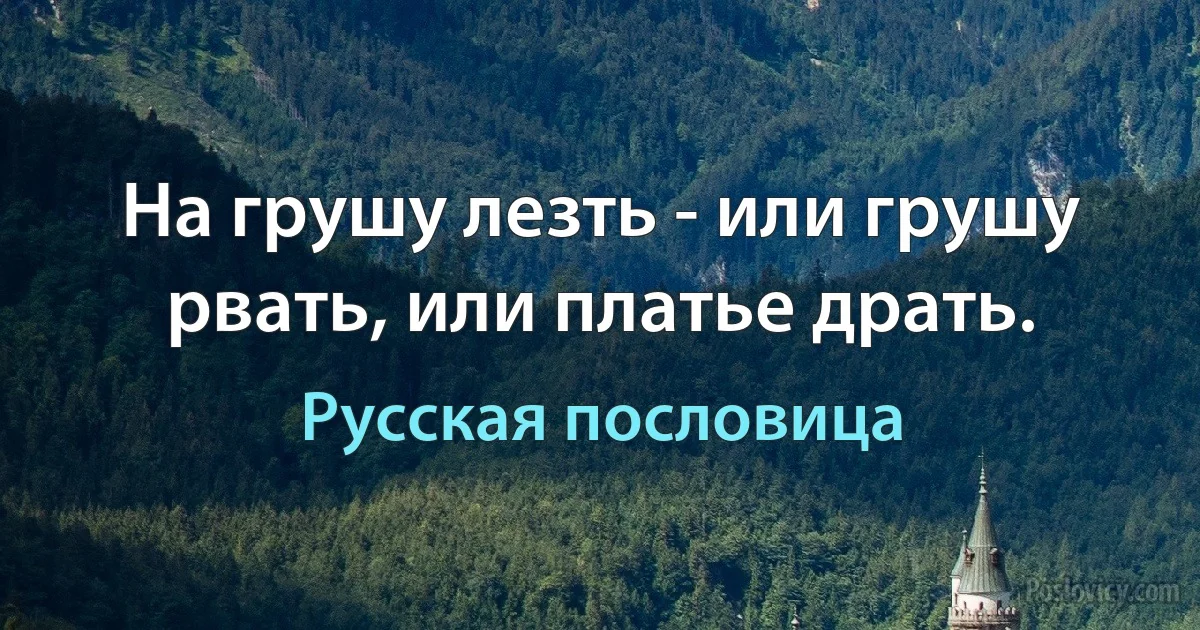 На грушу лезть - или грушу рвать, или платье драть. (Русская пословица)