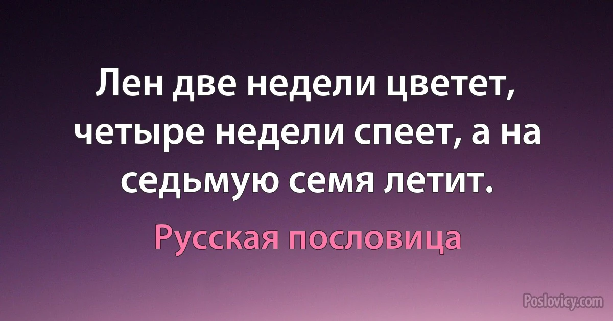 Лен две недели цветет, четыре недели спеет, а на седьмую семя летит. (Русская пословица)