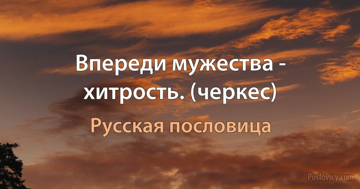 Впереди мужества - хитрость. (черкес) (Русская пословица)