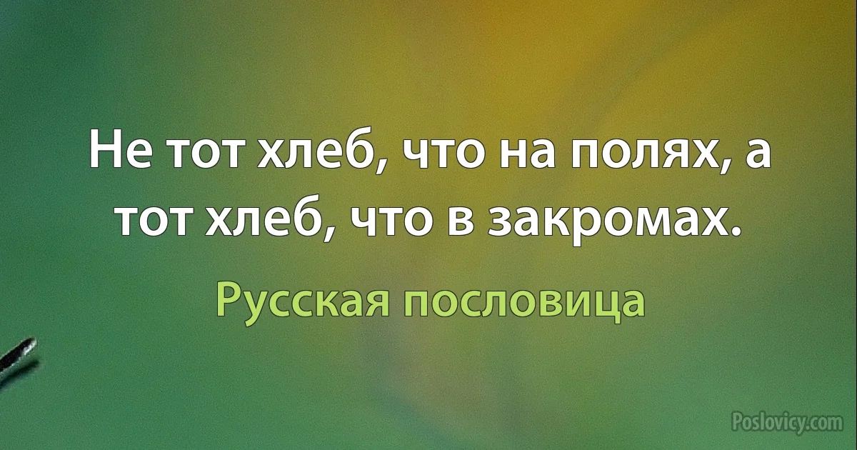 Не тот хлеб, что на полях, а тот хлеб, что в закромах. (Русская пословица)