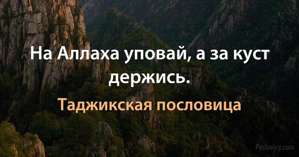 На Аллаха уповай, а за куст держись. (Таджикская пословица)