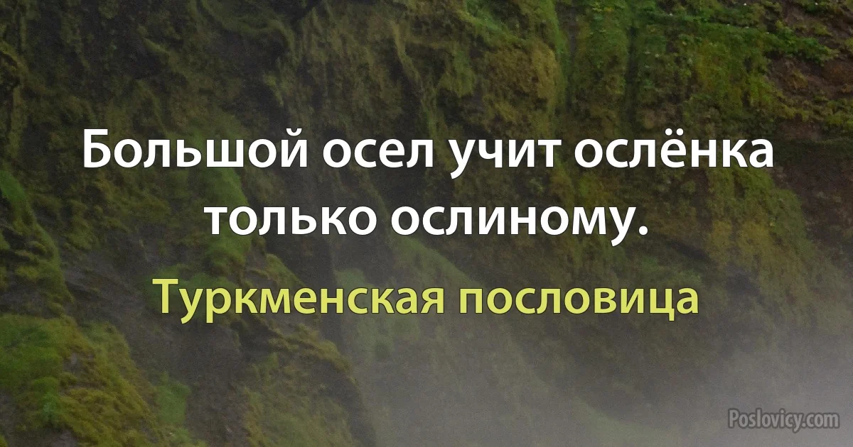 Большой осел учит ослёнка только ослиному. (Туркменская пословица)