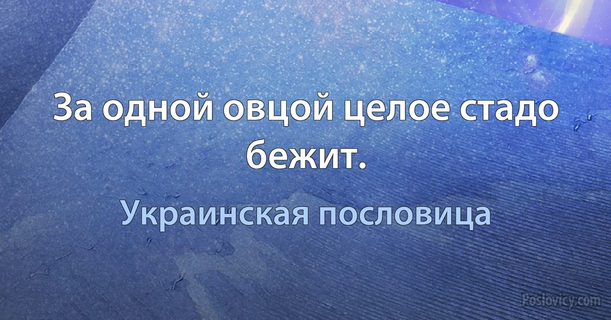 За одной овцой целое стадо бежит. (Украинская пословица)