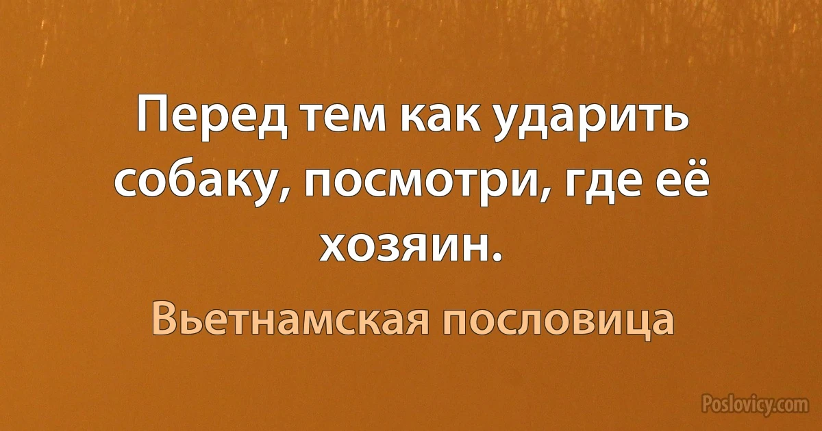 Перед тем как ударить собаку, посмотри, где её хозяин. (Вьетнамская пословица)