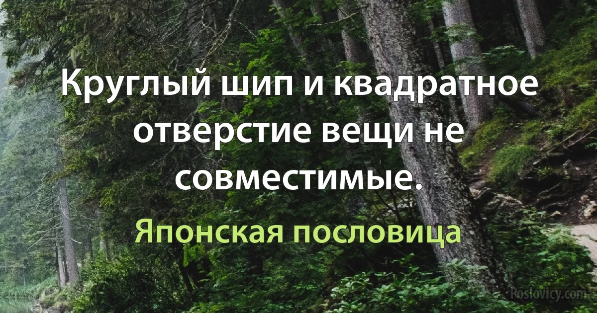 Круглый шип и квадратное отверстие вещи не совместимые. (Японская пословица)