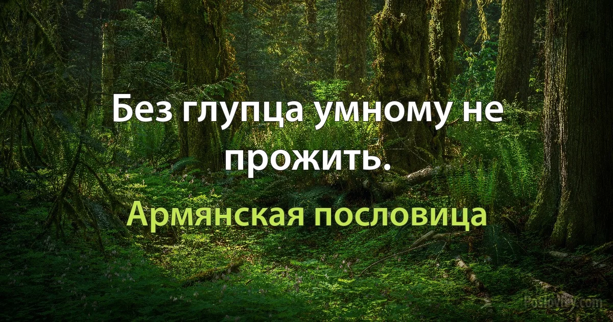 Без глупца умному не прожить. (Армянская пословица)