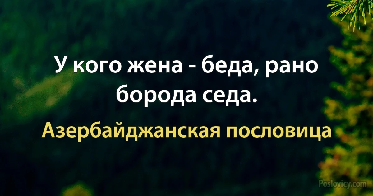 У кого жена - беда, рано борода седа. (Азербайджанская пословица)