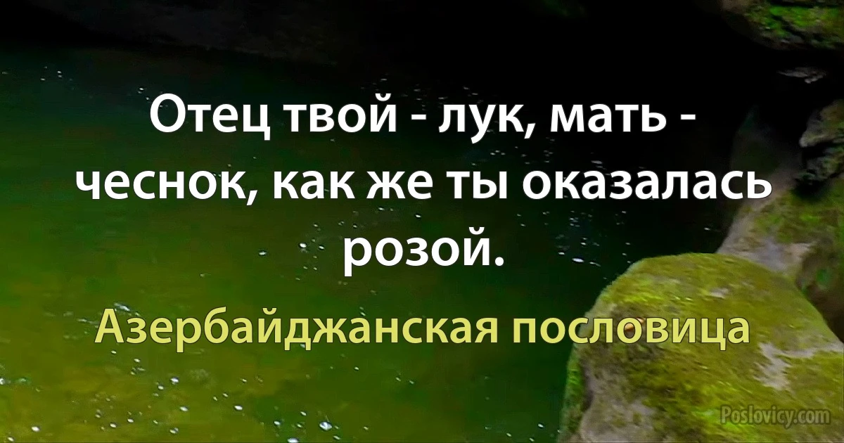 Отец твой - лук, мать - чеснок, как же ты оказалась розой. (Азербайджанская пословица)