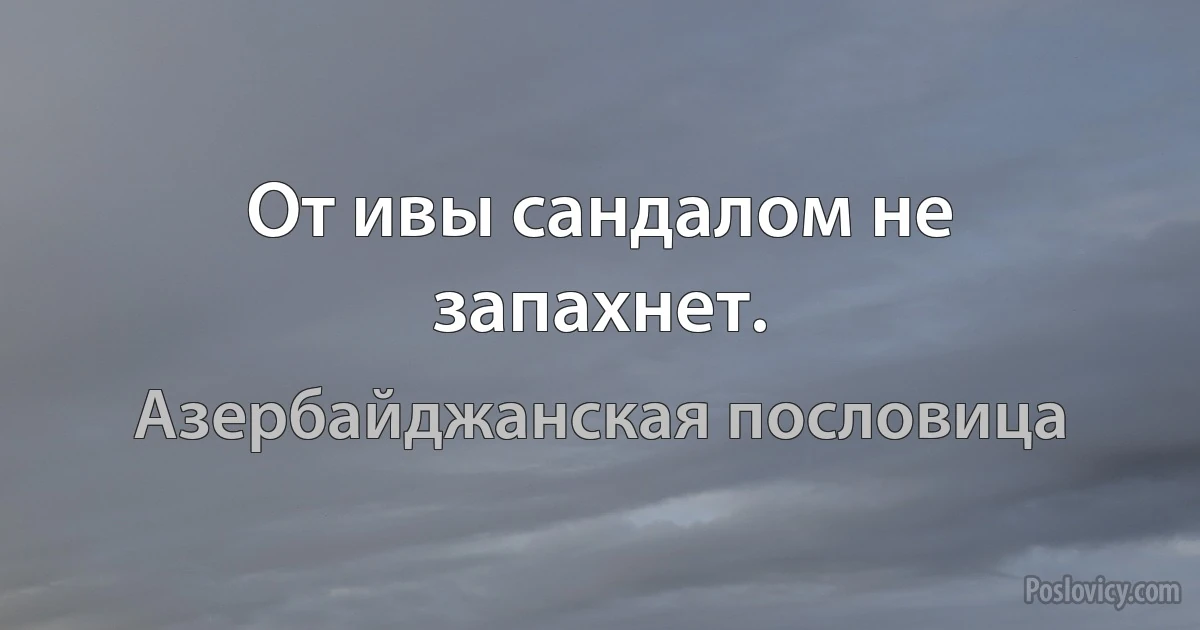 От ивы сандалом не запахнет. (Азербайджанская пословица)