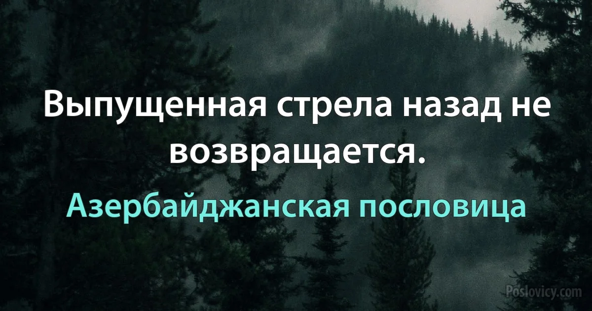 Выпущенная стрела назад не возвращается. (Азербайджанская пословица)