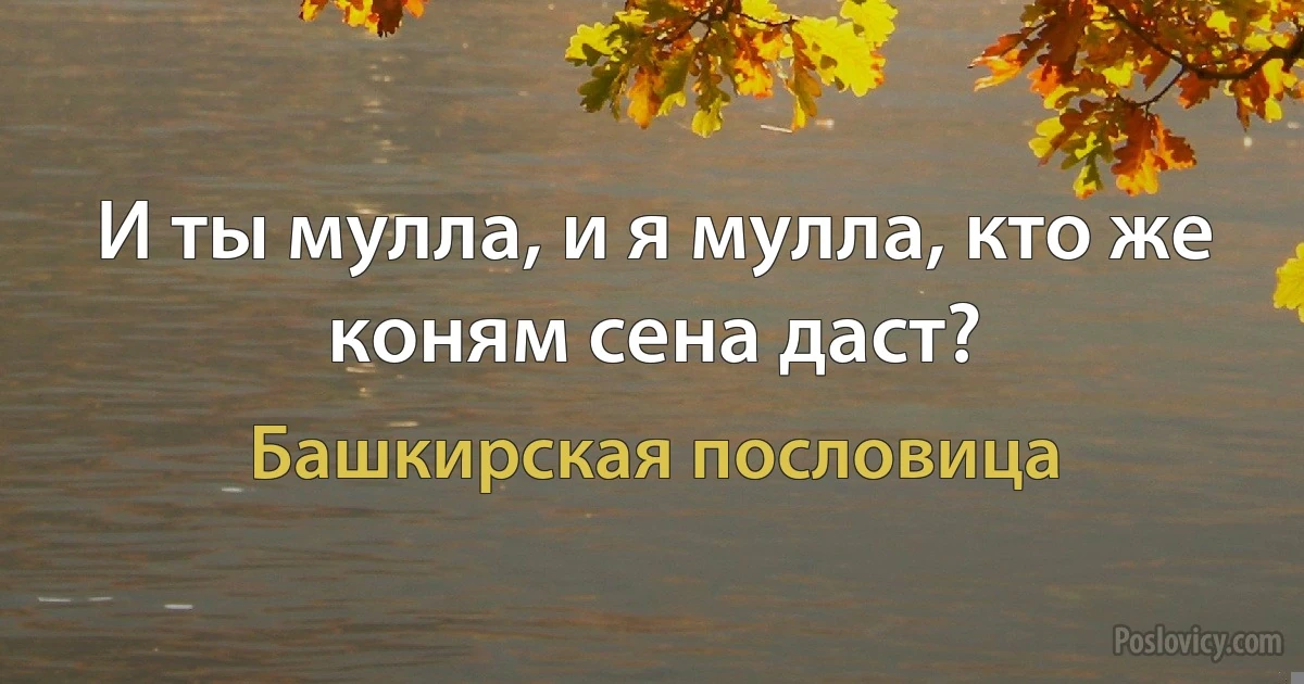 И ты мулла, и я мулла, кто же коням сена даст? (Башкирская пословица)