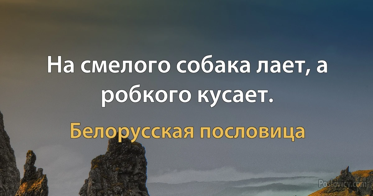 На смелого собака лает, а робкого кусает. (Белорусская пословица)