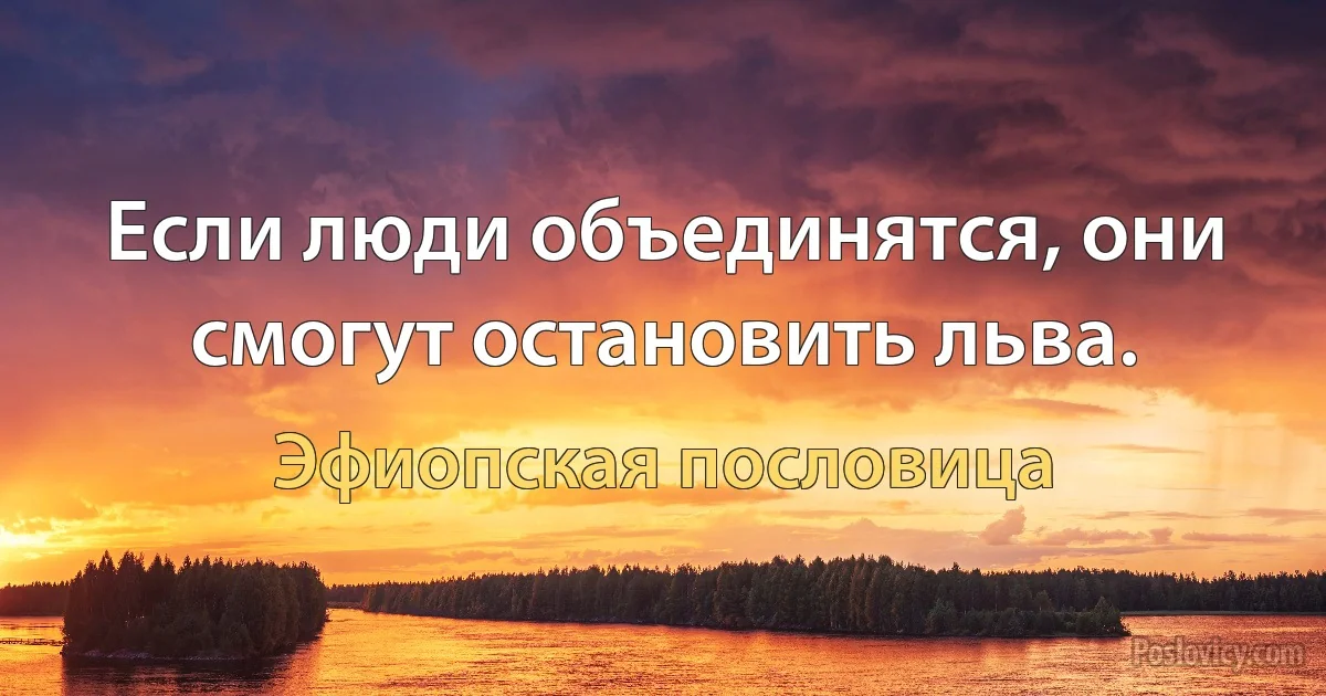 Если люди объединятся, они смогут остановить льва. (Эфиопская пословица)