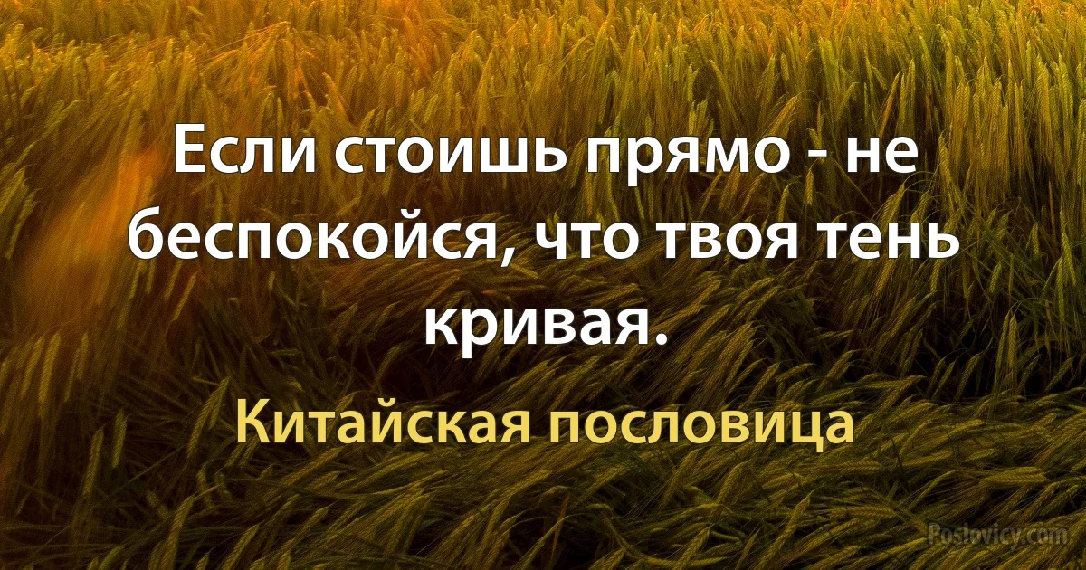 Если стоишь прямо - не беспокойся, что твоя тень кривая. (Китайская пословица)