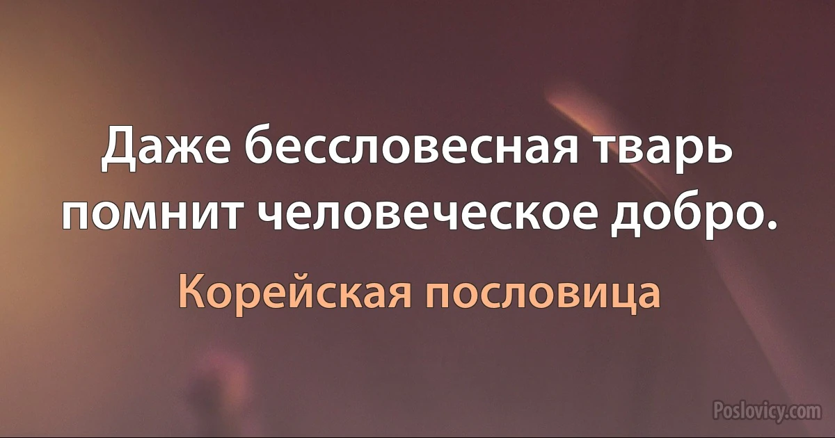 Даже бессловесная тварь помнит человеческое добро. (Корейская пословица)