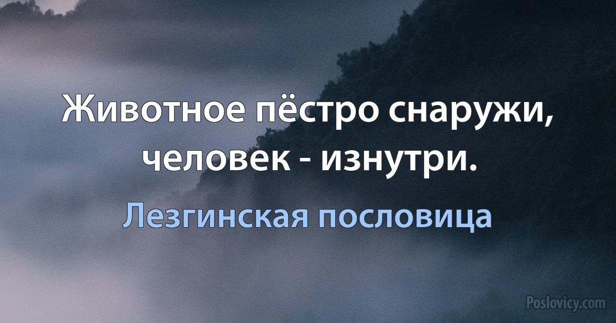 Животное пёстро снаружи, человек - изнутри. (Лезгинская пословица)