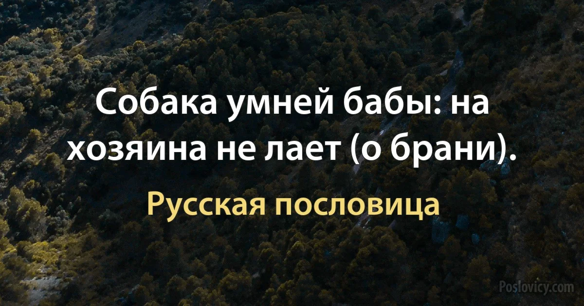 Собака умней бабы: на хозяина не лает (о брани). (Русская пословица)