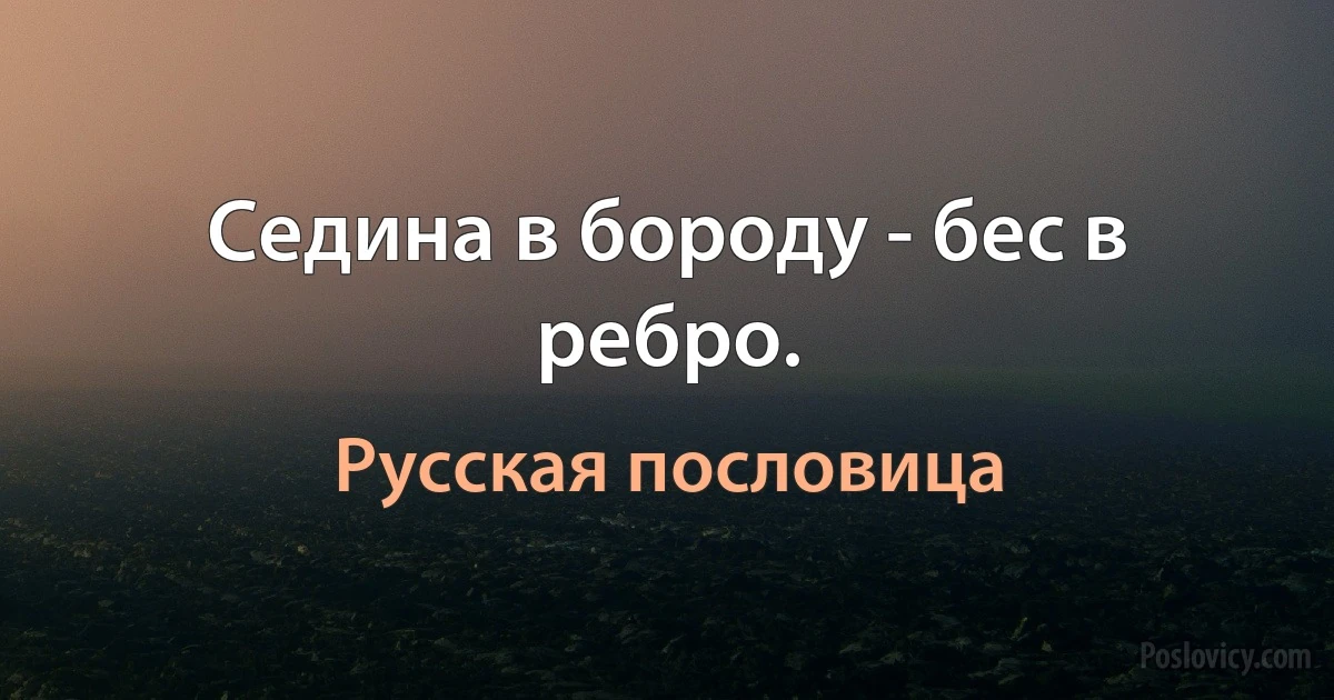 Седина в бороду - бес в ребро. (Русская пословица)