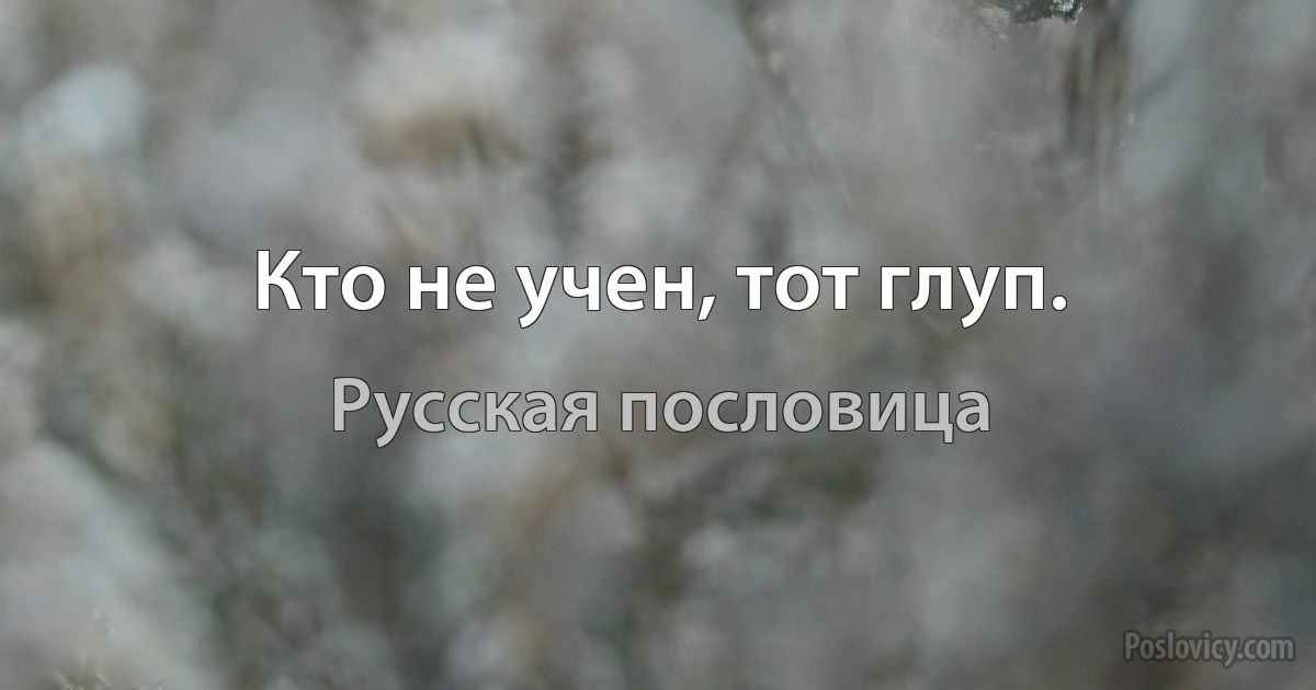 Кто не учен, тот глуп. (Русская пословица)