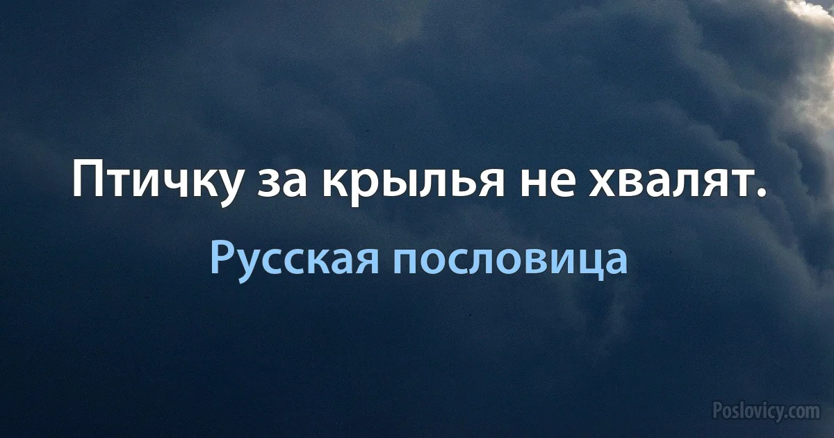 Птичку за крылья не хвалят. (Русская пословица)