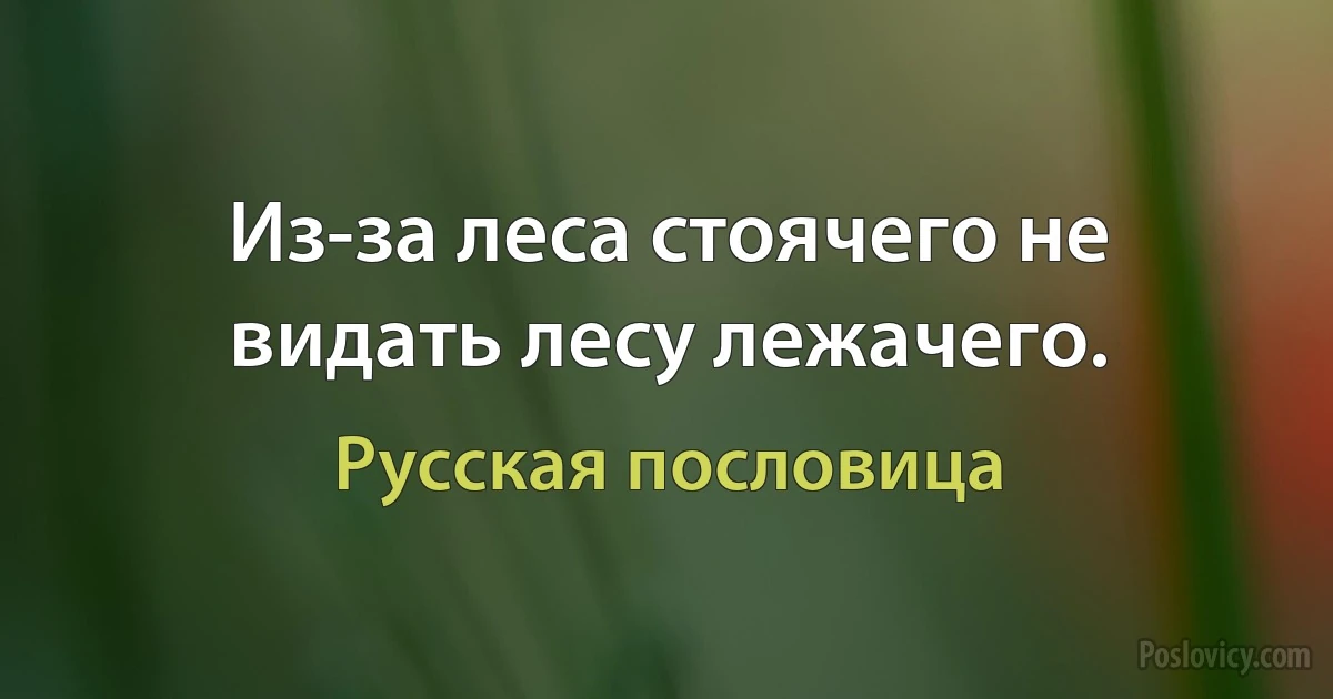 Из-за леса стоячего не видать лесу лежачего. (Русская пословица)