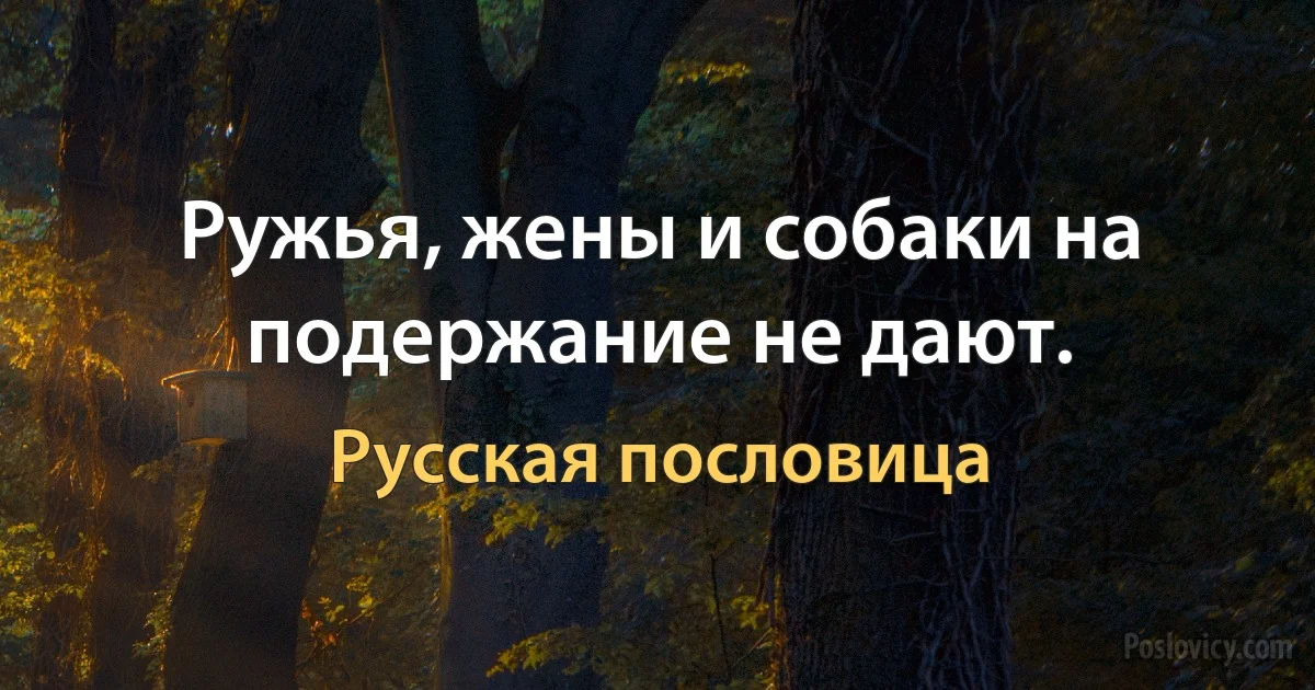 Ружья, жены и собаки на подержание не дают. (Русская пословица)