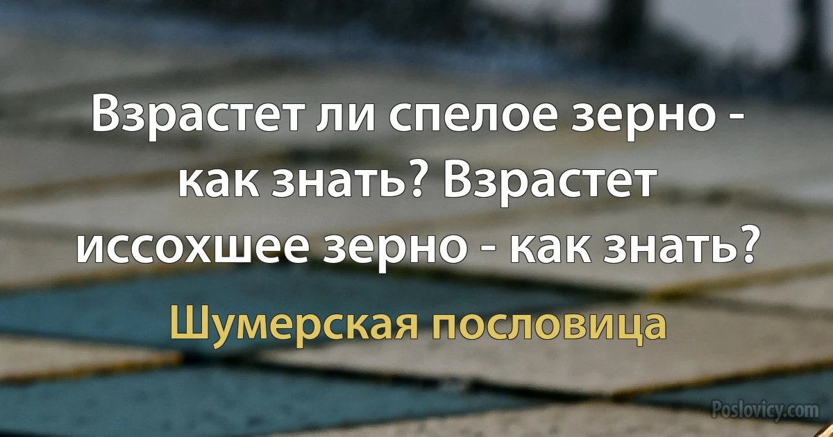 Взрастет ли спелое зерно - как знать? Взрастет иссохшее зерно - как знать? (Шумерская пословица)