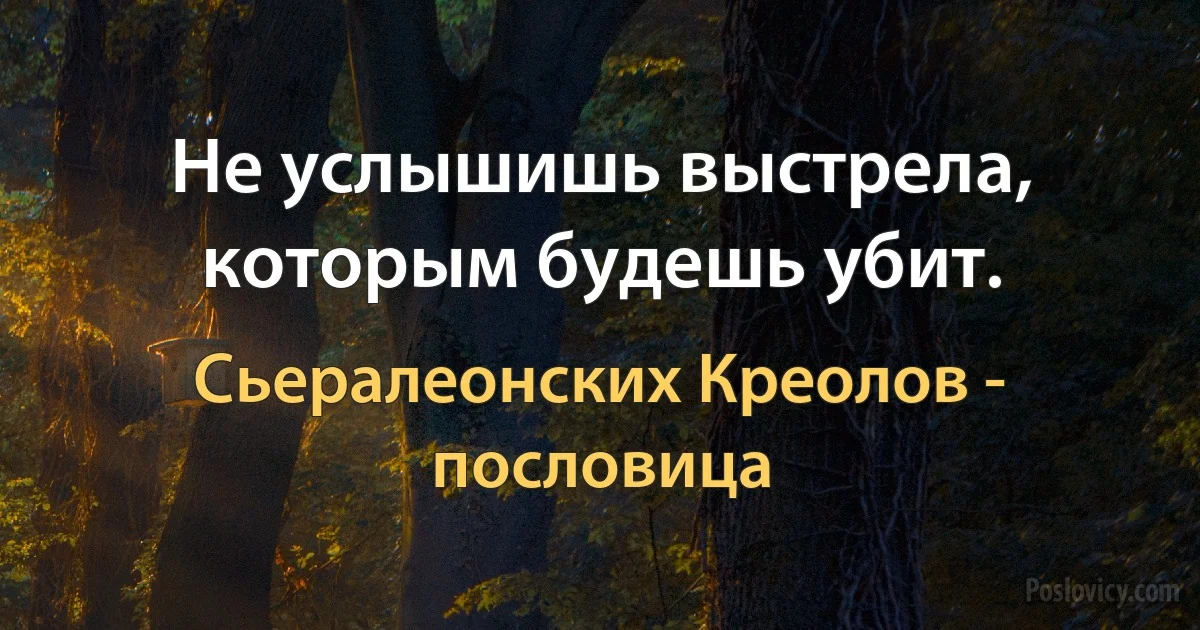 Не услышишь выстрела, которым будешь убит. (Сьералеонских Креолов - пословица)