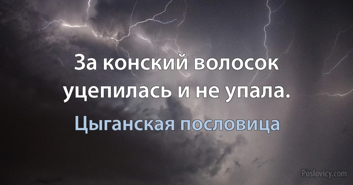 За конский волосок уцепилась и не упала. (Цыганская пословица)