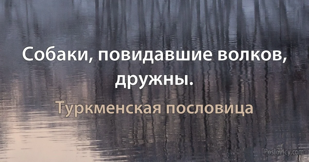 Собаки, повидавшие волков, дружны. (Туркменская пословица)