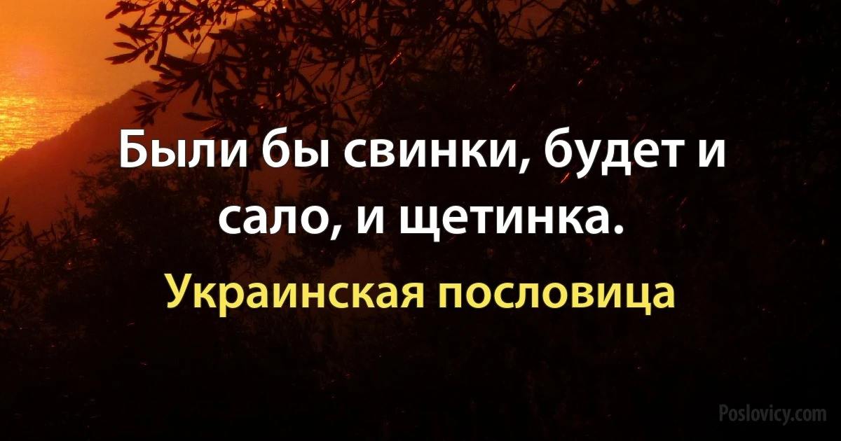 Были бы свинки, будет и сало, и щетинка. (Украинская пословица)