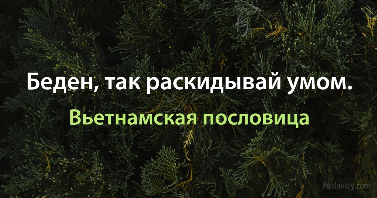 Беден, так раскидывай умом. (Вьетнамская пословица)